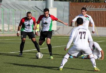 فريق سلوان